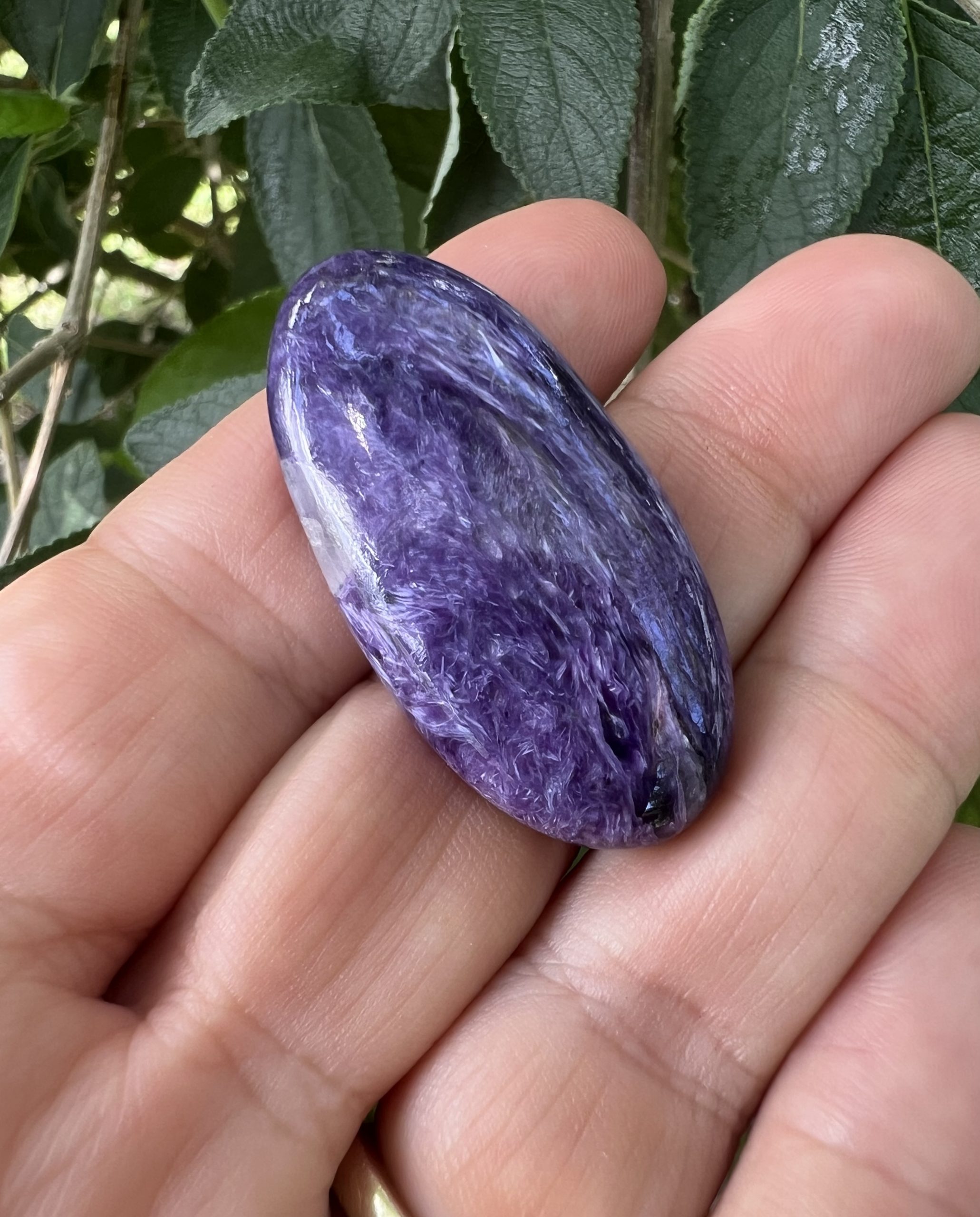 charoite cab