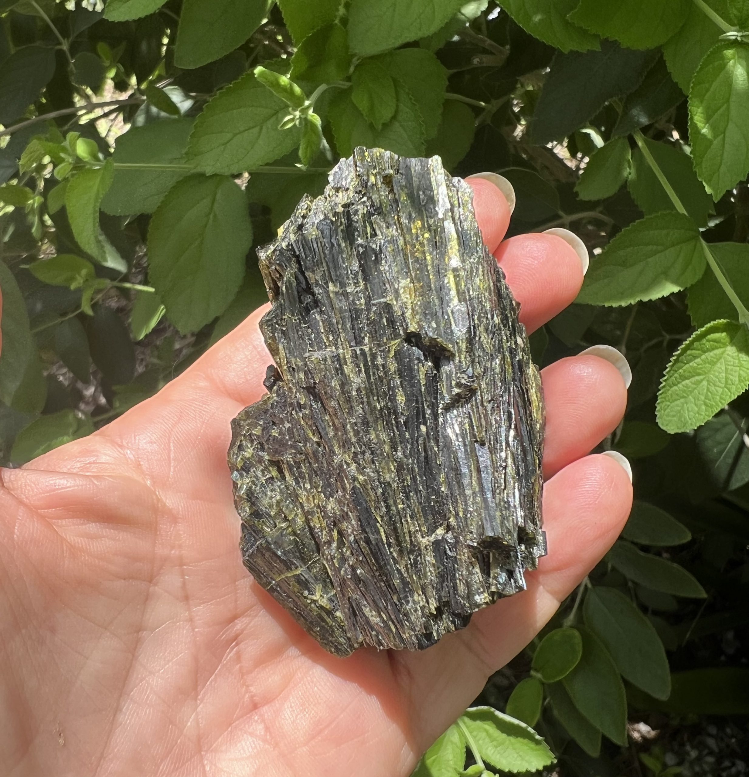 Epidote