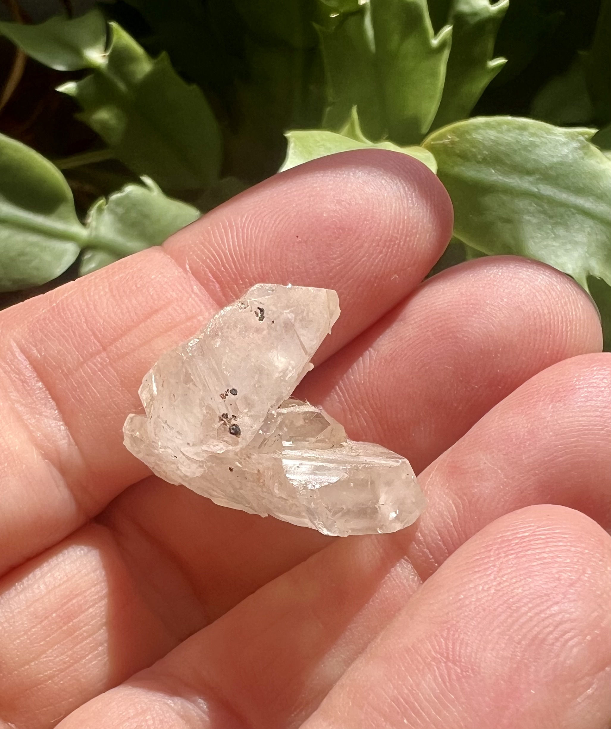 cerussite